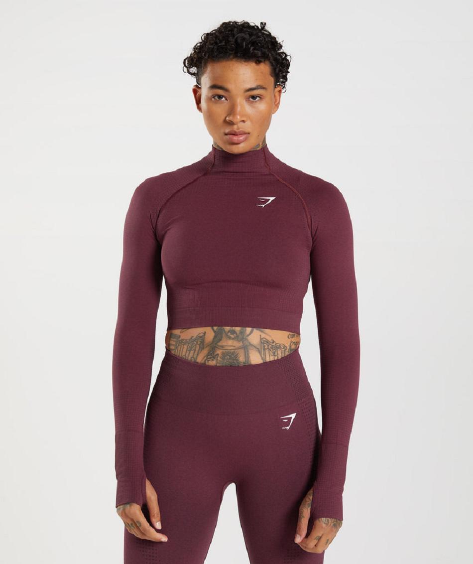 Przycięte Topy Damskie Gymshark Vital Seamless 2.0 High Neck Bordowe | PL 2576JPQ